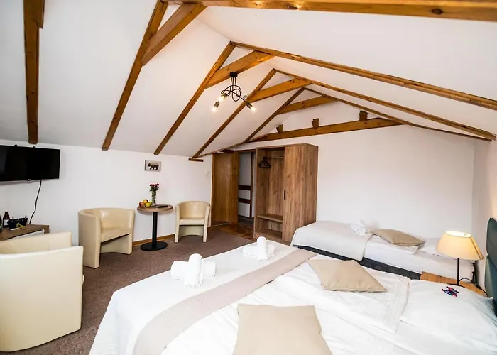 公寓式酒店 Ariston 卡尔帕奇