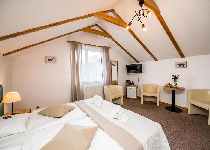 公寓式酒店 Ariston 卡尔帕奇