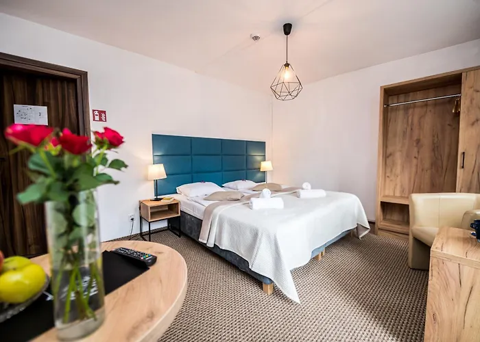 Ariston 卡尔帕奇